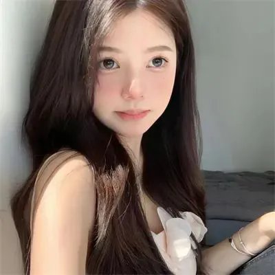 紫色档案