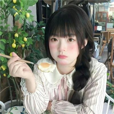皇家飞凤