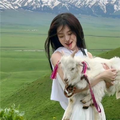 奶爸的科技武道馆